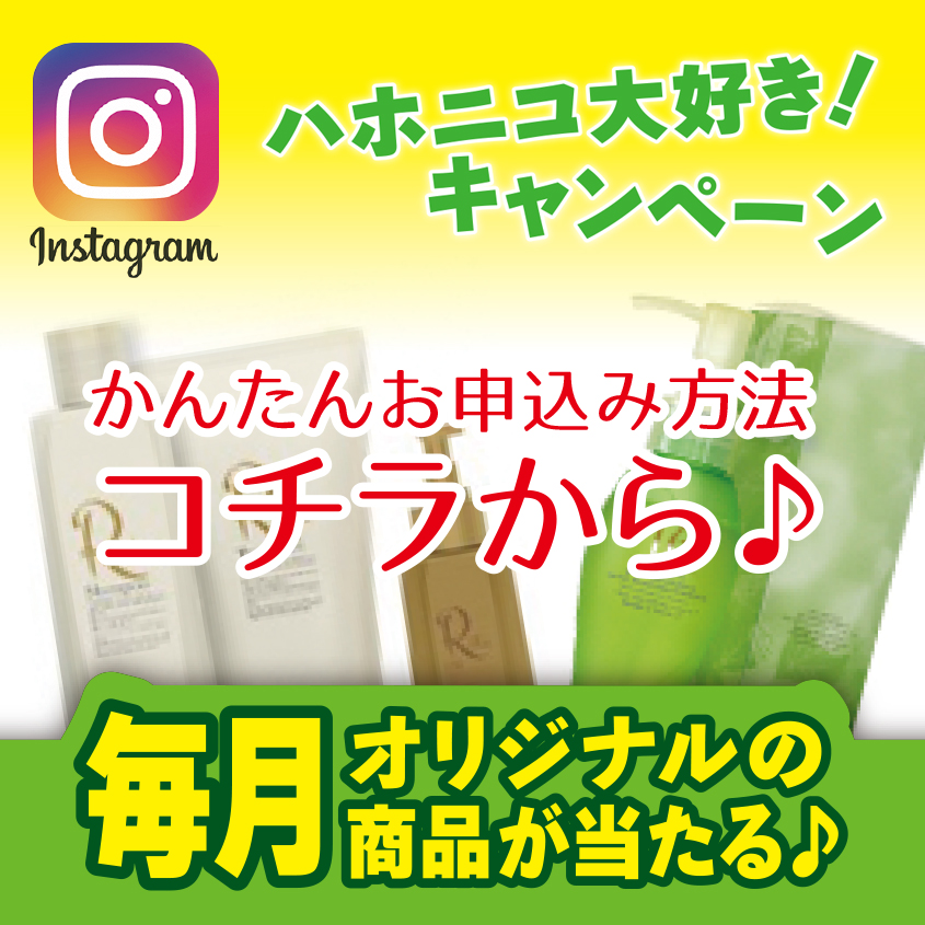 ハホニコ大好きキャンペーン