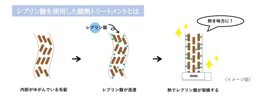 髪の修復イメージ